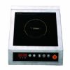 Built-In Induction Cooker